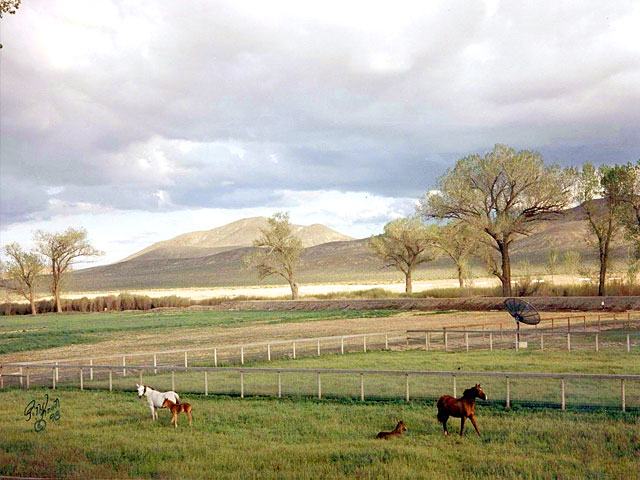 Horse pens.