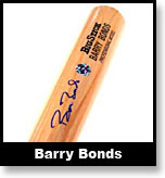 Baseball Bat photo
