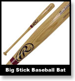 Baseball bat photo