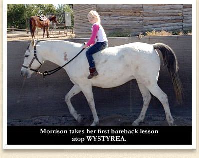 Morrison and Wystyrea