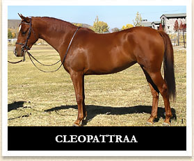 Cleopattraa