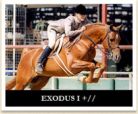 Exodus I+//