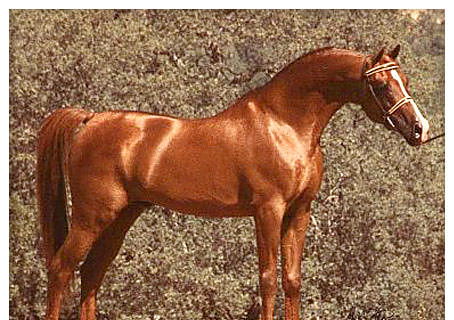 #AL COBRE