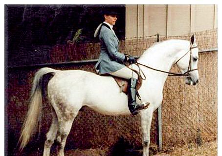 BELMONTE