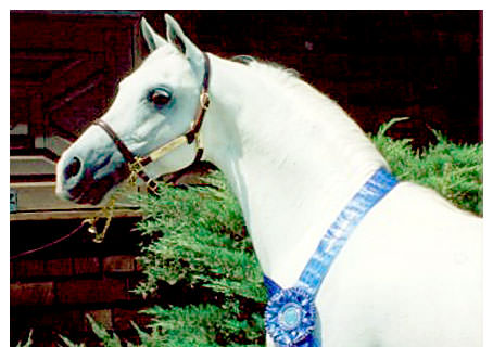 *DIAMANTE