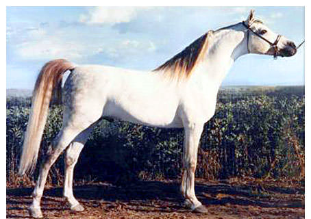 GEBEL TARIK