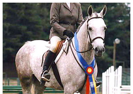 QUINNTESSA