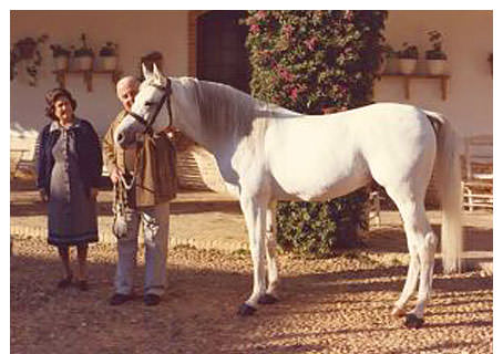 *CORINTO