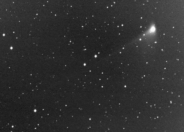 Comet Machholz photo