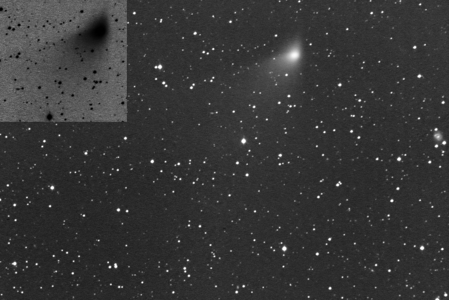 Comet Machholz photo