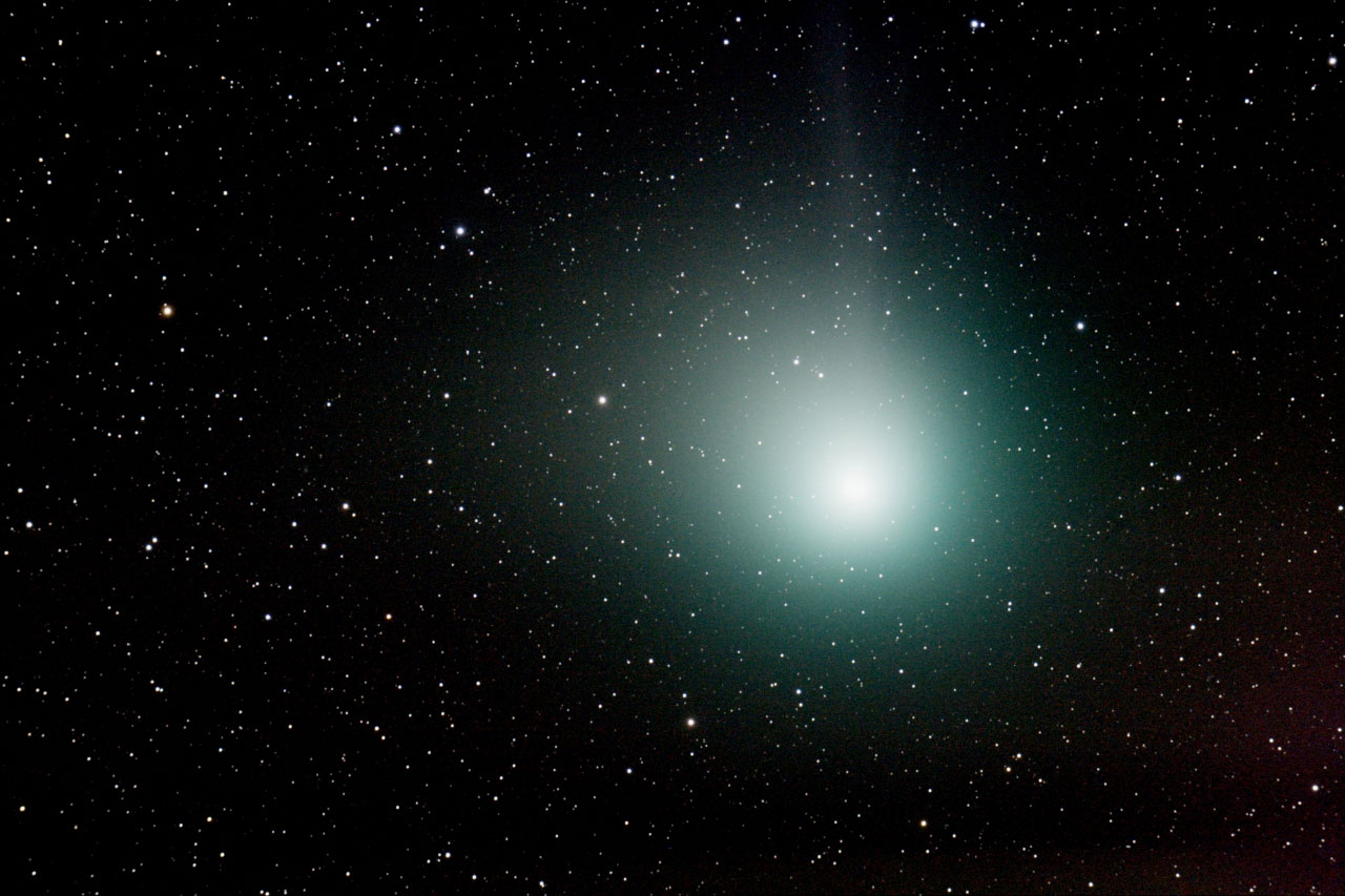 Comet Machholz photo